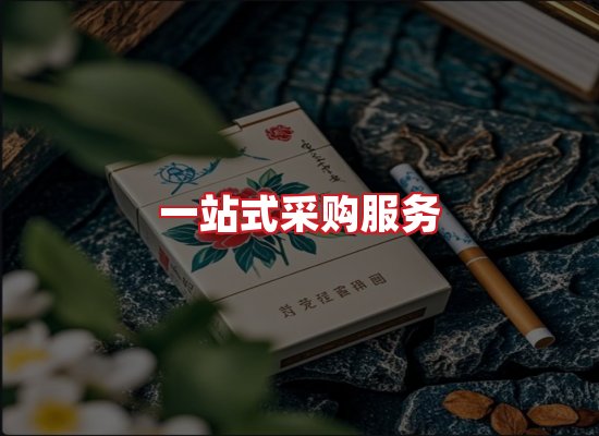 专业团队